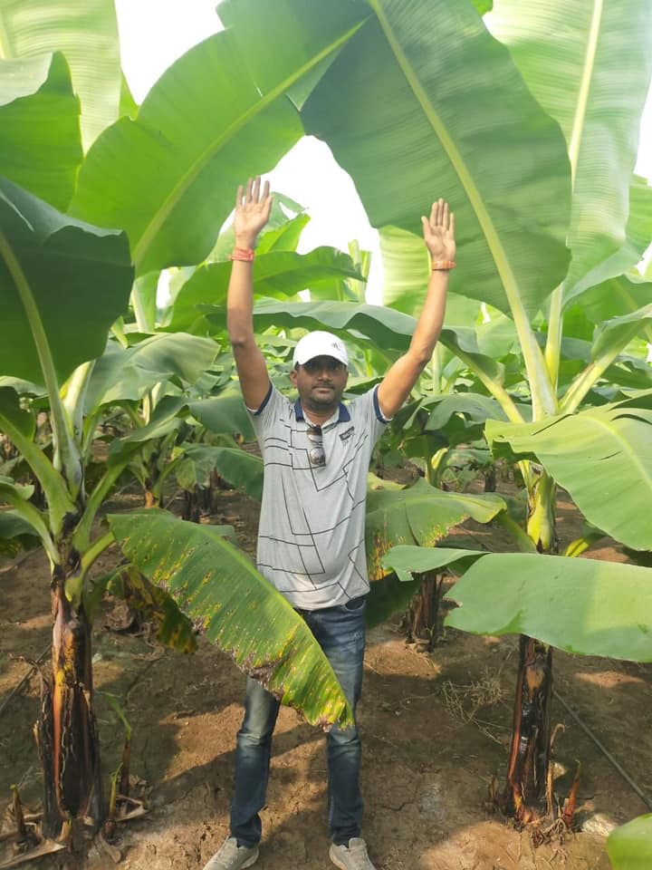 FertiGlobal helps Indian farmers in growing their banana plantations