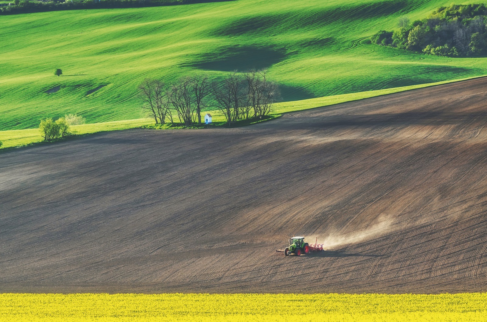 FertiGlobal’s special foliar fertilizers have been developed to support the production of healthy food while protecting the planet